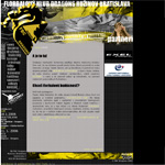 Webdesign, spracovanie a dynamicke prevedenie dom&eacute;ny www.dragons.sk
